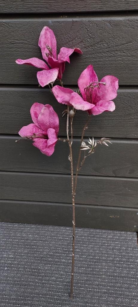 Silk-ka Magnolia Tak Roze - Nieuw, Ophalen of Verzenden, Nieuw, Binnen