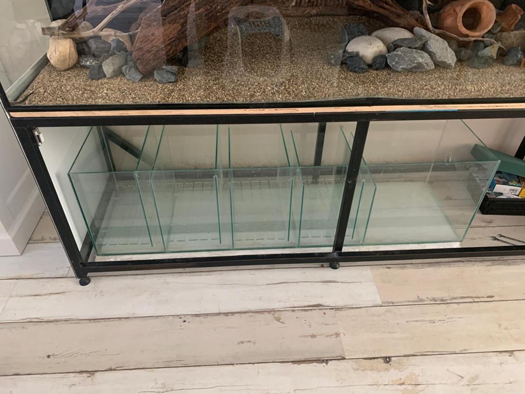 Aquarium, Dieren en Toebehoren