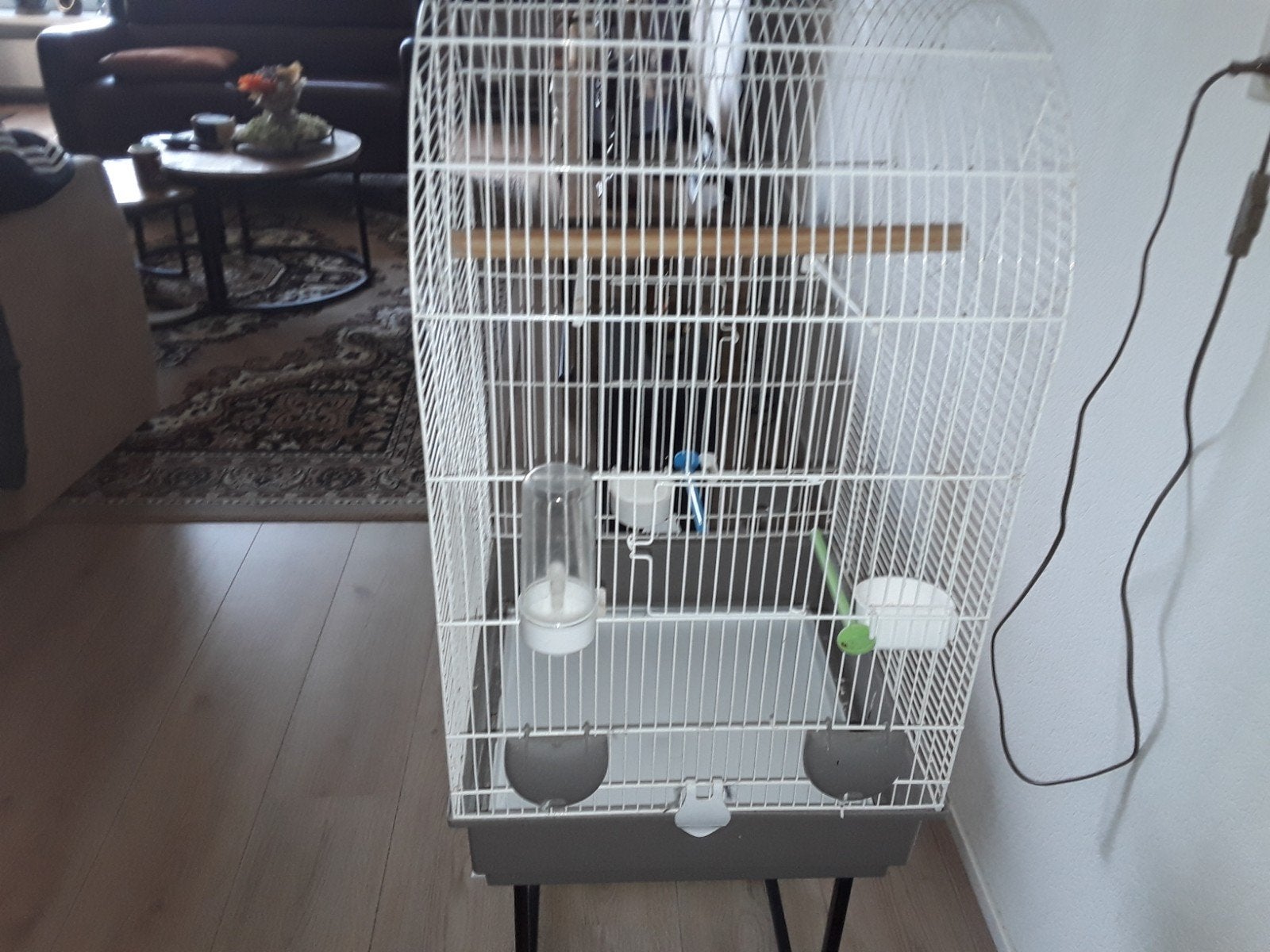 nette kooi voor kanarie of parkiet, Ophalen, Zo goed als nieuw, Metaal, Vogelkooi
