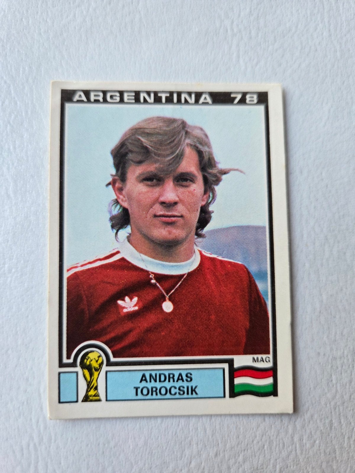 Panini WK 78, Ophalen of Verzenden, Zo goed als nieuw, Sticker