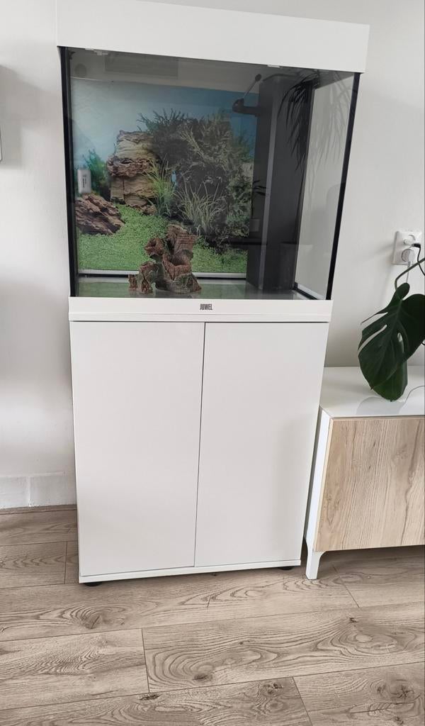 Juwel aquarium met onderkast. 120 liter., Ophalen, Verwarming, Leeg aquarium, Juwel