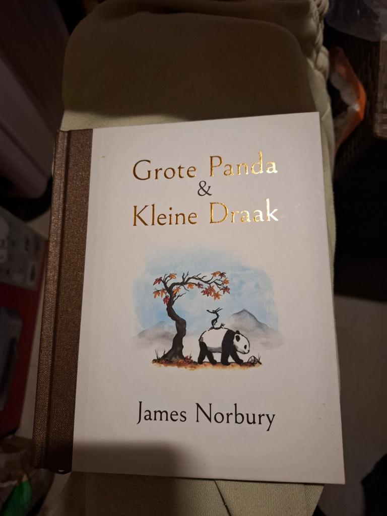 Grote panda en kleine draak, Ophalen of Verzenden, Zo goed als nieuw
