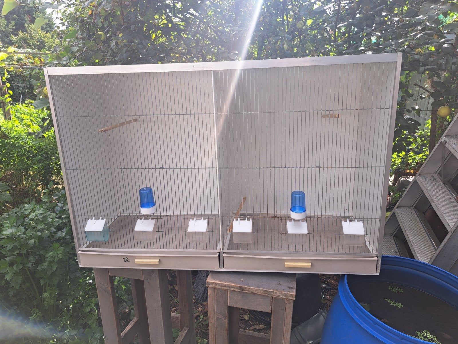 gehuw vlucht kooi 120x40x80, Dieren en Toebehoren, Vrouwelijk, Kropper