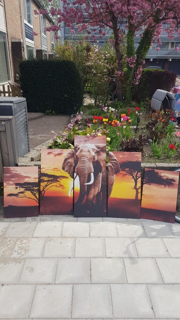 Safari schilderij olifant 5-luik, Ophalen