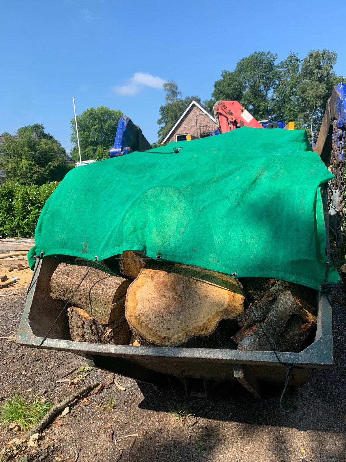 Haardhout op stam of in blokken te koop!, Tuin en Terras, Haardhout, 6 m³ of meer, Ophalen of Verzenden, Eikenhout, Stammen