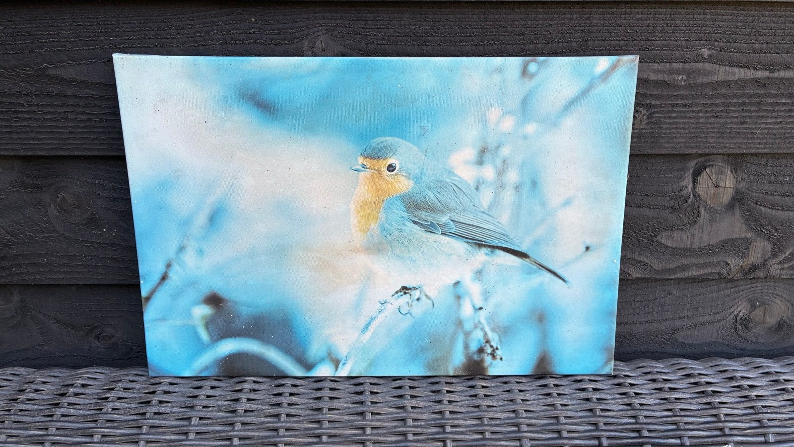 3 Canvas Schilderijen Vogels 60x40cm voor Binnen/Buiten, Huis en Inrichting, Ophalen, 50 – 75, Gebruikt, Schilderij