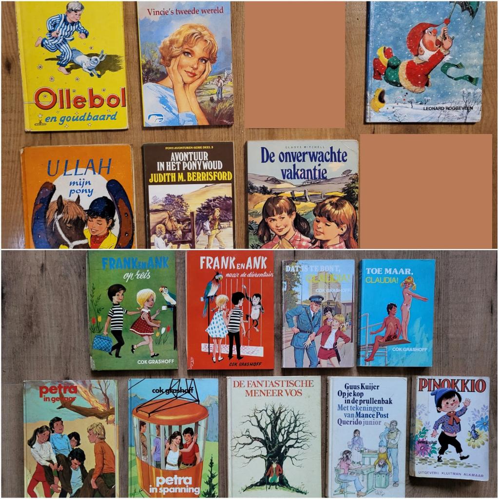 Boeken jeugd (hele set: 12 euro. Per stuk: zie advertentie), Boeken, Kinderboeken | Jeugd | onder 10 jaar, Ophalen, Gelezen, Fictie algemeen