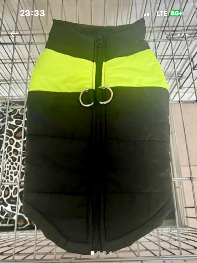 Honden jasje zwart met lime kleur!, Ophalen of Verzenden, Nieuw, Hondenjas