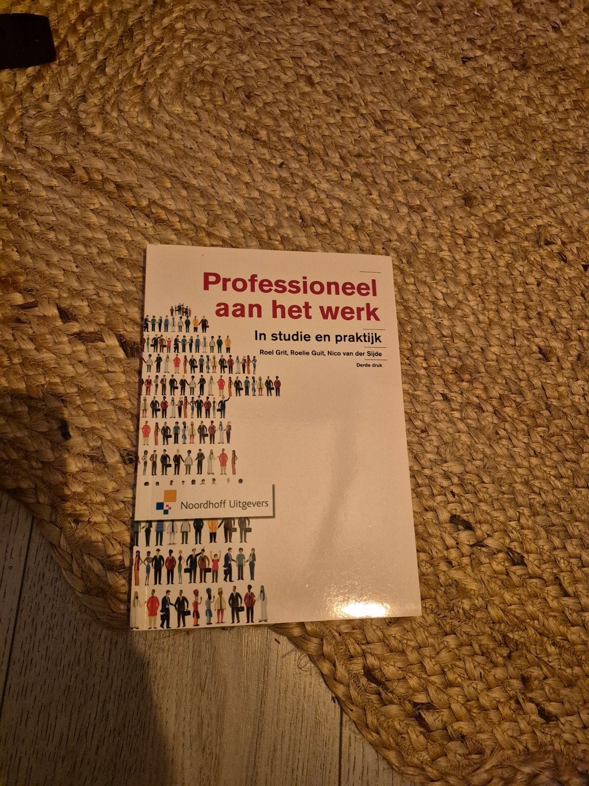 Professioneel aan het werk - In studie en praktijk, Boeken, Studieboeken en Cursussen, Roel Grit, Roelie Guit, Nico van der Sijde