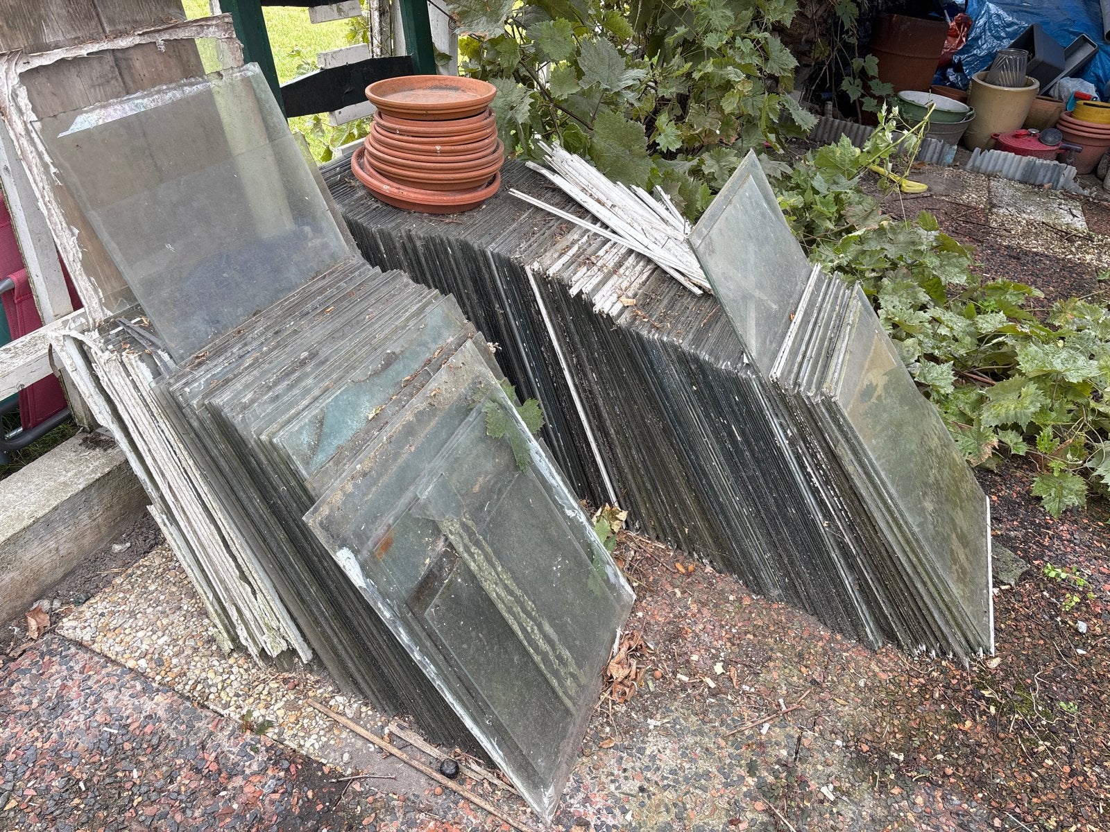 +/- 400 gebruikte glasplaten, tuindersglas voor tuinkas., Doe-het-zelf en Verbouw, Glas en Ramen, Ophalen, Gebruikt, Minder dan 80 cm