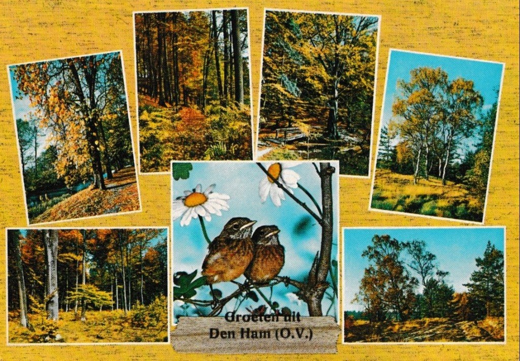 Den Ham    (ov)               668, Ophalen of Verzenden, Voor 1920, Overijssel
