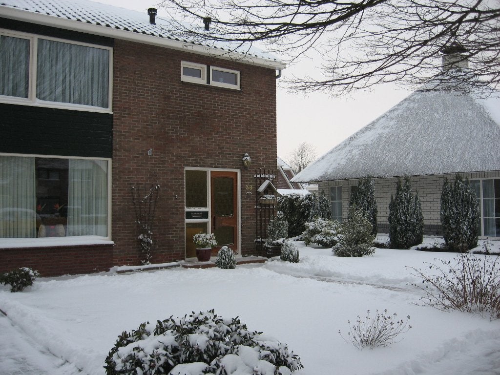 voordeur, Doe-het-zelf en Verbouw, Deuren en Horren, Ophalen, 80 tot 100 cm, 200 tot 215 cm, Glas