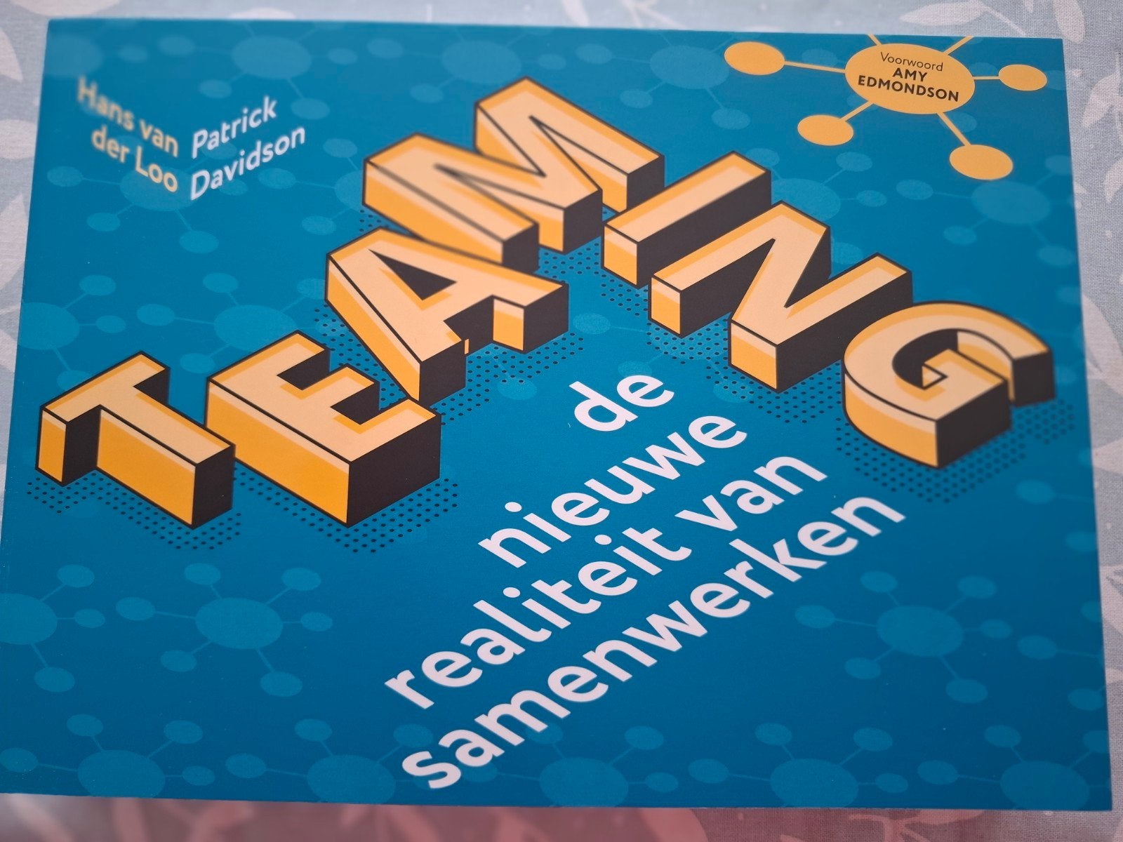 Teaming: de nieuwe realiteit van samenwerken - Nieuw boek, Ophalen of Verzenden, Nieuw, Hans van der Loo, Patrick Davidson