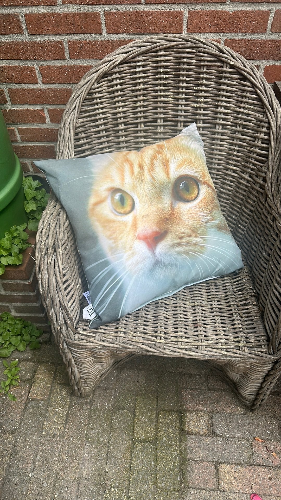 Buitenkussen kat, Ophalen of Verzenden, Zo goed als nieuw