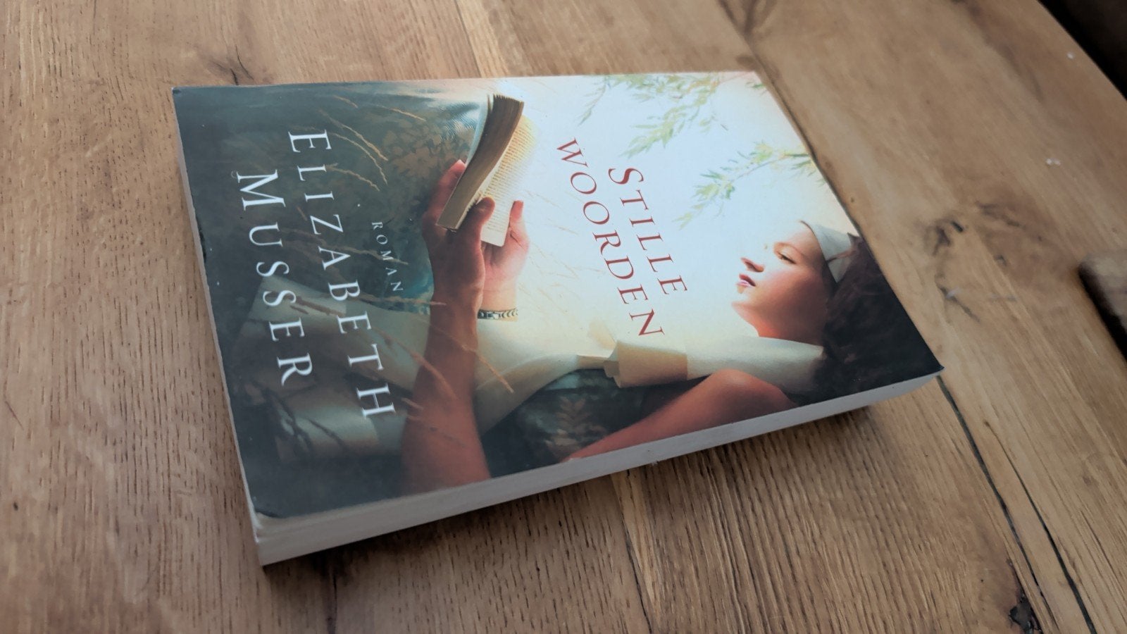 Stille Woorden - Elizabeth Musser (Roman), Boeken, Romans, Gelezen, Nederland, Ophalen of Verzenden