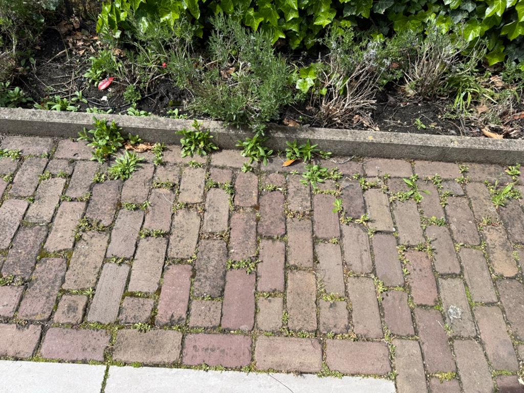 Tuinman / handige harry gezocht, Tuin en Terras, Ophalen, Zo goed als nieuw, Beton, Terrastegels