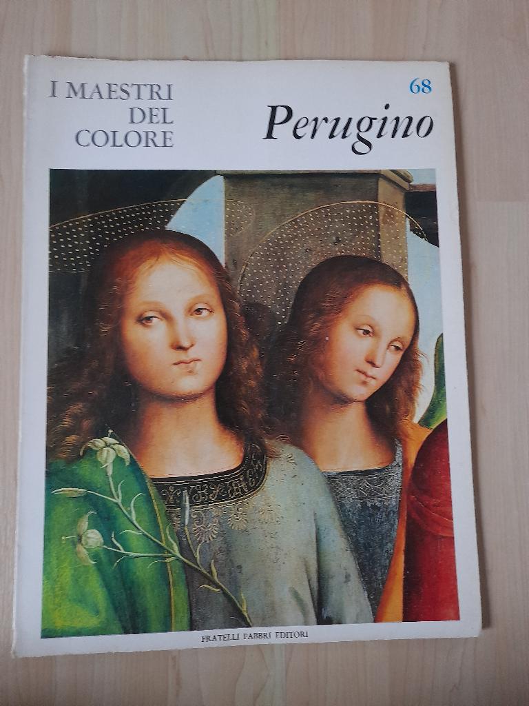 PERUGINO I MAESTRI DEL COLORE Francesco Arnoldi italiaans, Ophalen of Verzenden, Gelezen