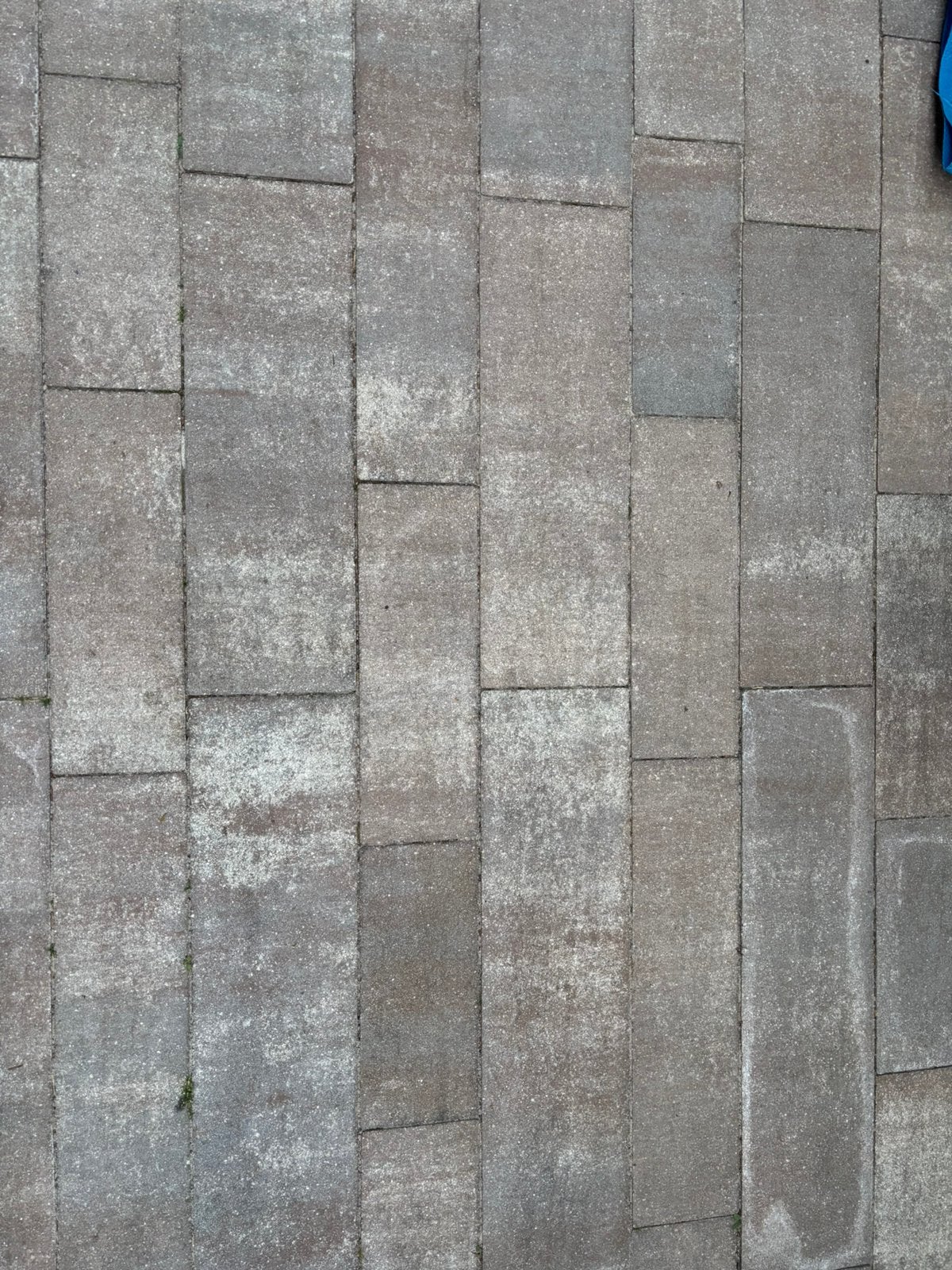 Gratis ophalen pallet stenen, Ophalen, Nieuw, 5 tot 10 m², Beton