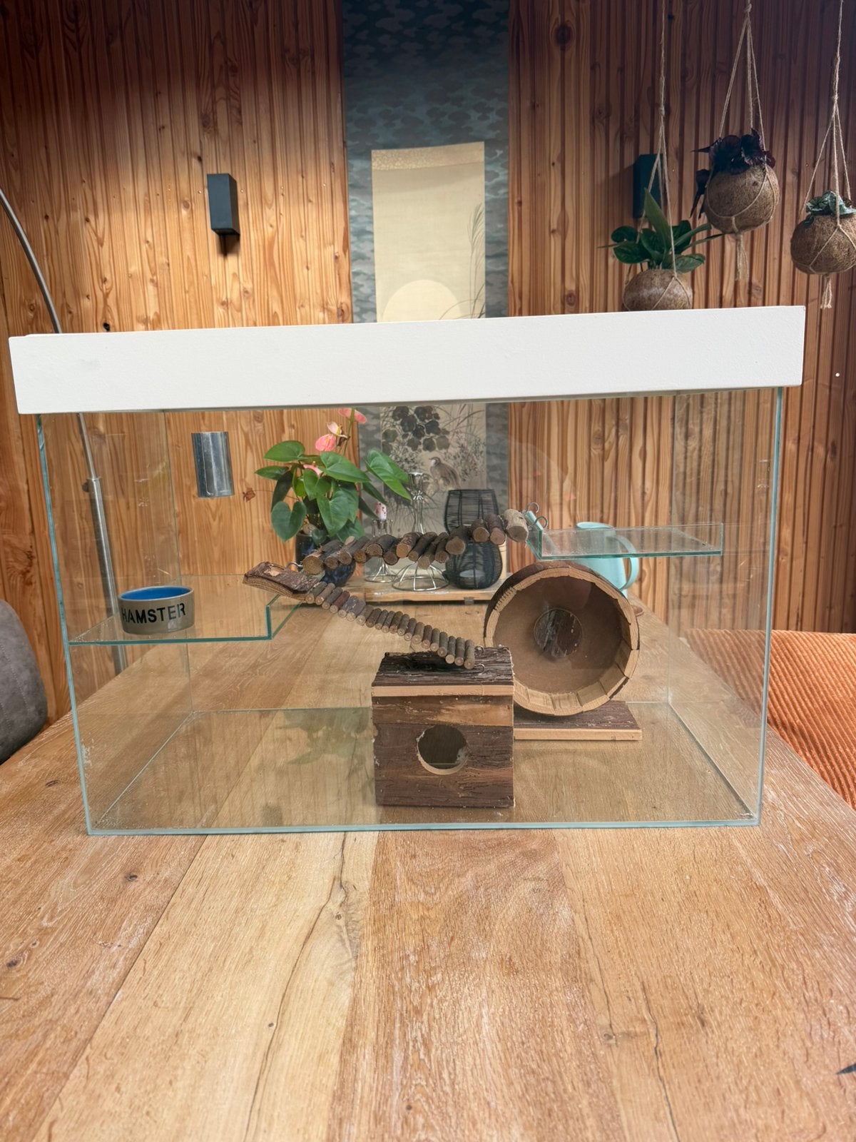 Glazen hamsterverblijf, Dieren en Toebehoren, Knaagdieren en Konijnen | Hokken en Kooien, Kooi, Gebruikt, Hamster, Ophalen
