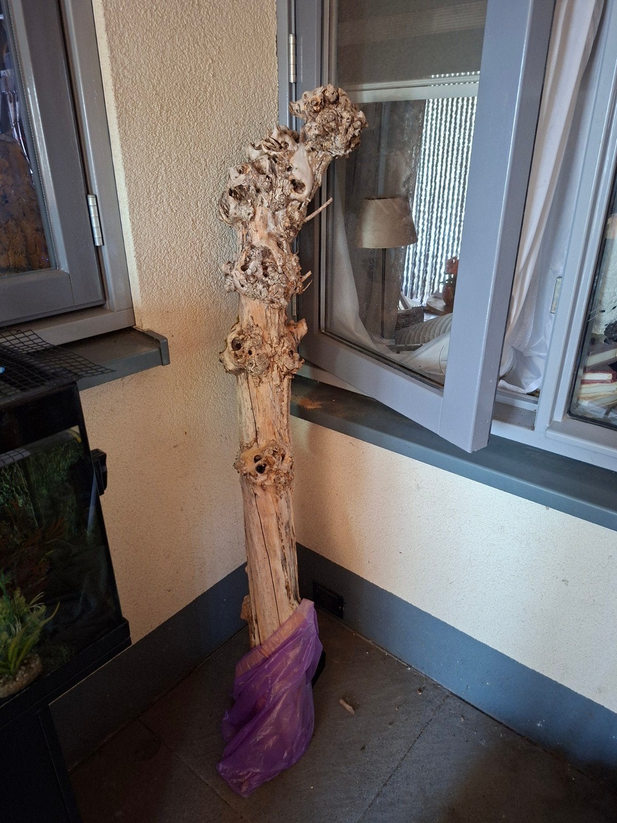 grote mooie stronk, Ophalen, Hout, Vogelkooi
