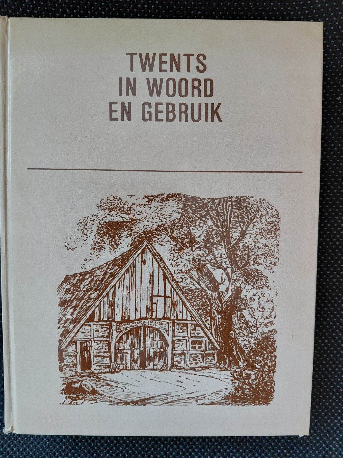 Twents in Woord en Gebruik - G.J.H. Dijkhuis, Boeken, Ophalen of Verzenden