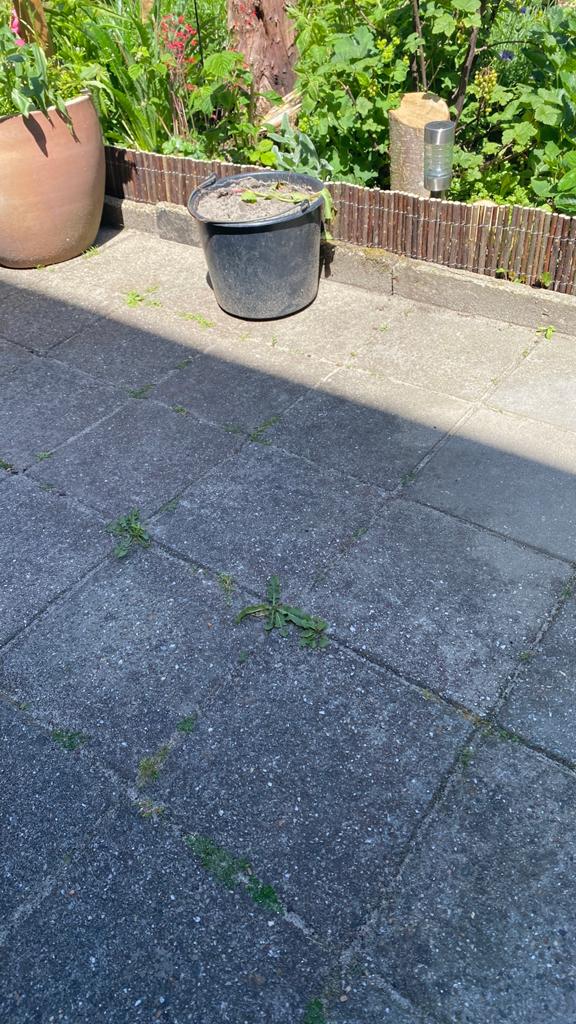 Gratis Tegels 30x30 +- 18m2, Ophalen, Zo goed als nieuw, Beton, Terrastegels