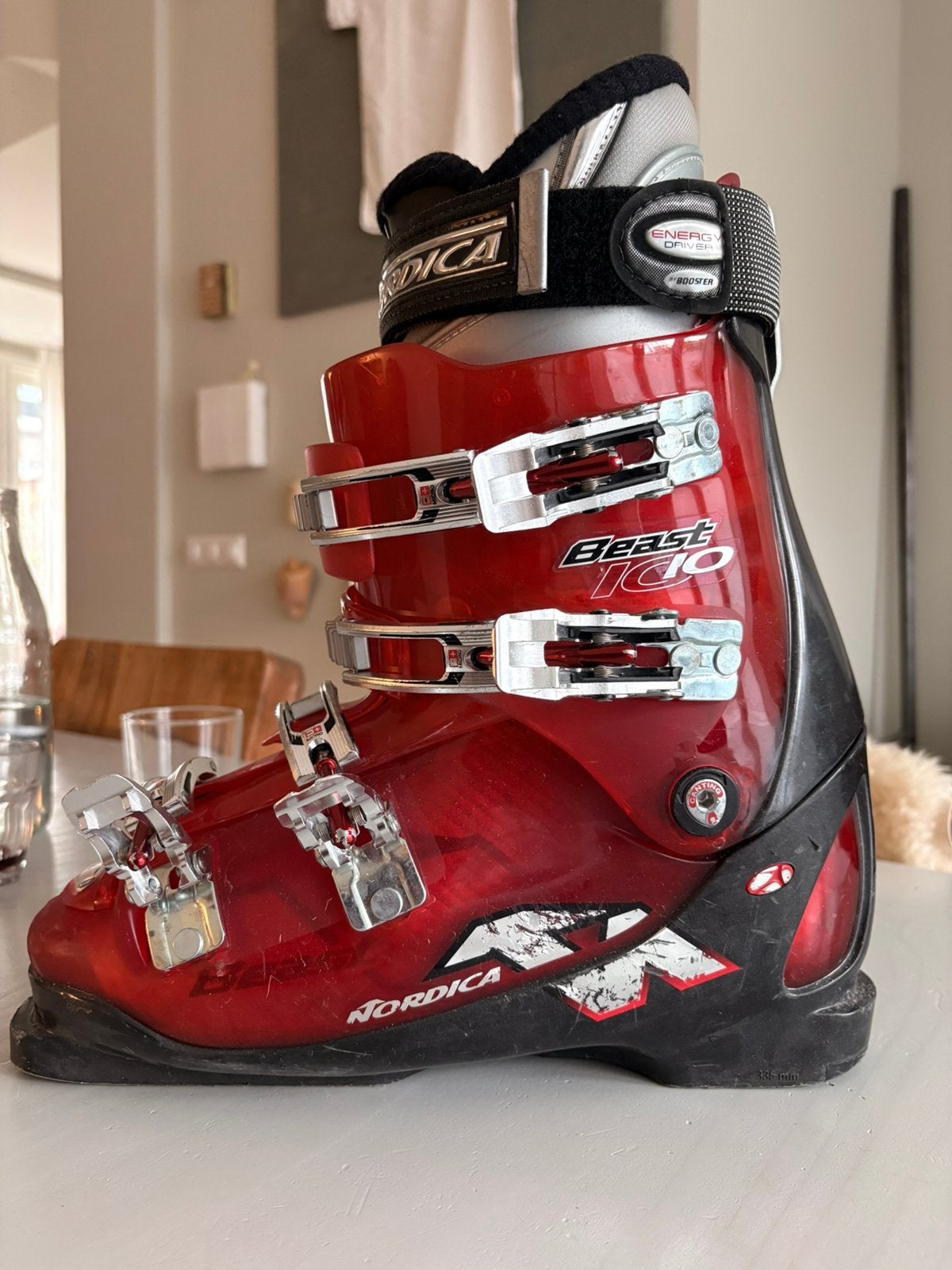 Nordica Beast IC 10 skischoenen – maat 44 (Mondo 29.0), Sport en Fitness, Skiën en Langlaufen, 160 tot 180 cm, Schoenen, Ophalen of Verzenden