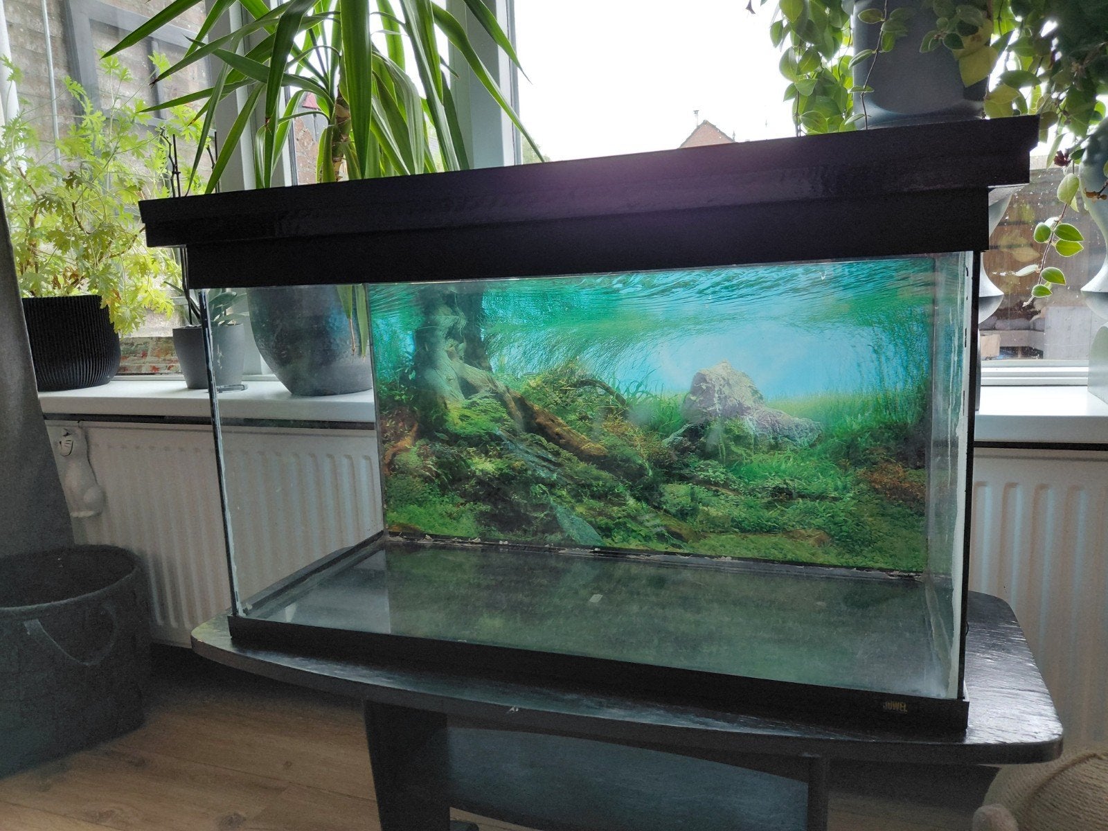 terrarium gerbil/hamster hok, Kooi, Gebruikt, 75 tot 110 cm, Ophalen