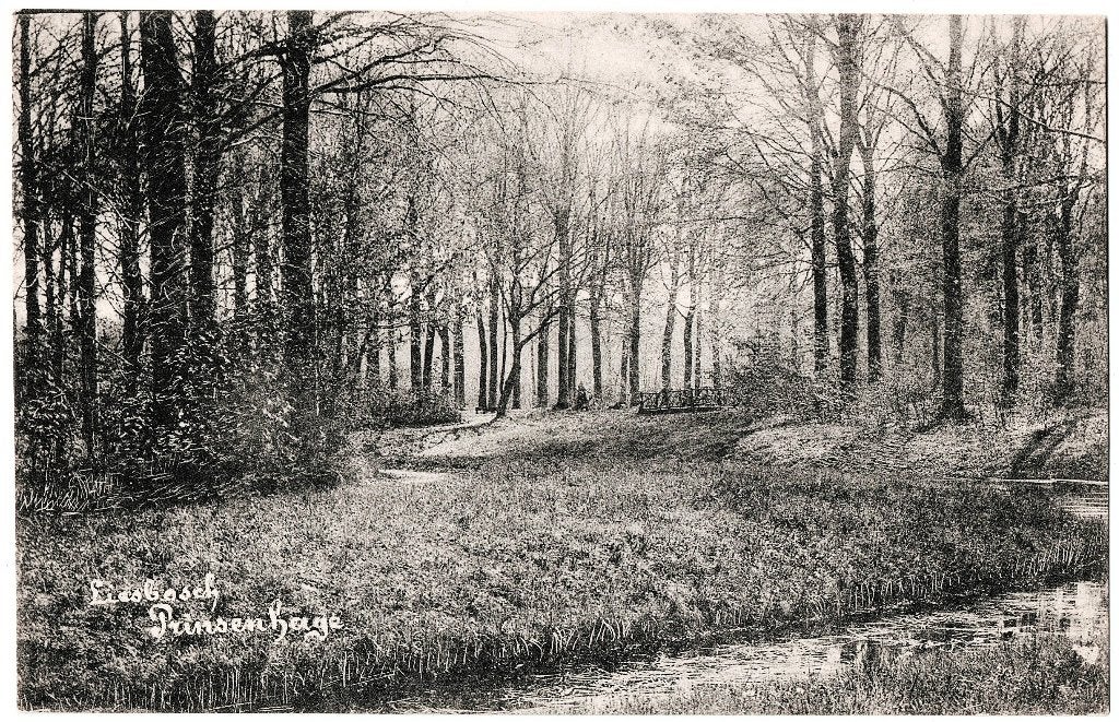 Prinsenhage NB, Liesbosch ongelopen, richtprijs € 4,==, Verzenden, Voor 1920, Ongelopen, Noord-Brabant