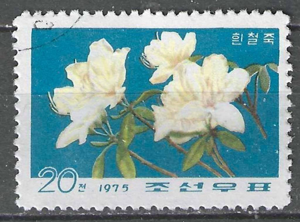 Noord-Korea 1975 - Yvert 1338 - Azalea - 20 ch. (ST), Verzenden, Gestempeld, Oost-Azië