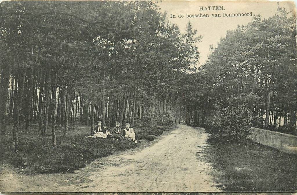 388-429-049 Hattem in de Bosschen van Dennenoord, Verzenden, Voor 1920, Gelderland