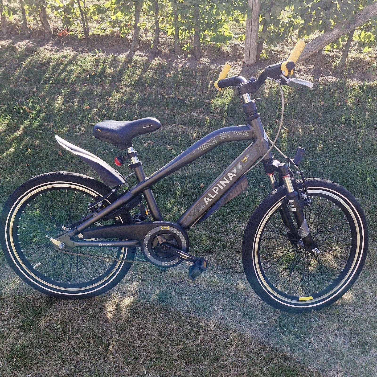 Mooie Alpina Trail fiets 20 inch banden, Ophalen, Gebruikt, 20 inch of meer, Alpina