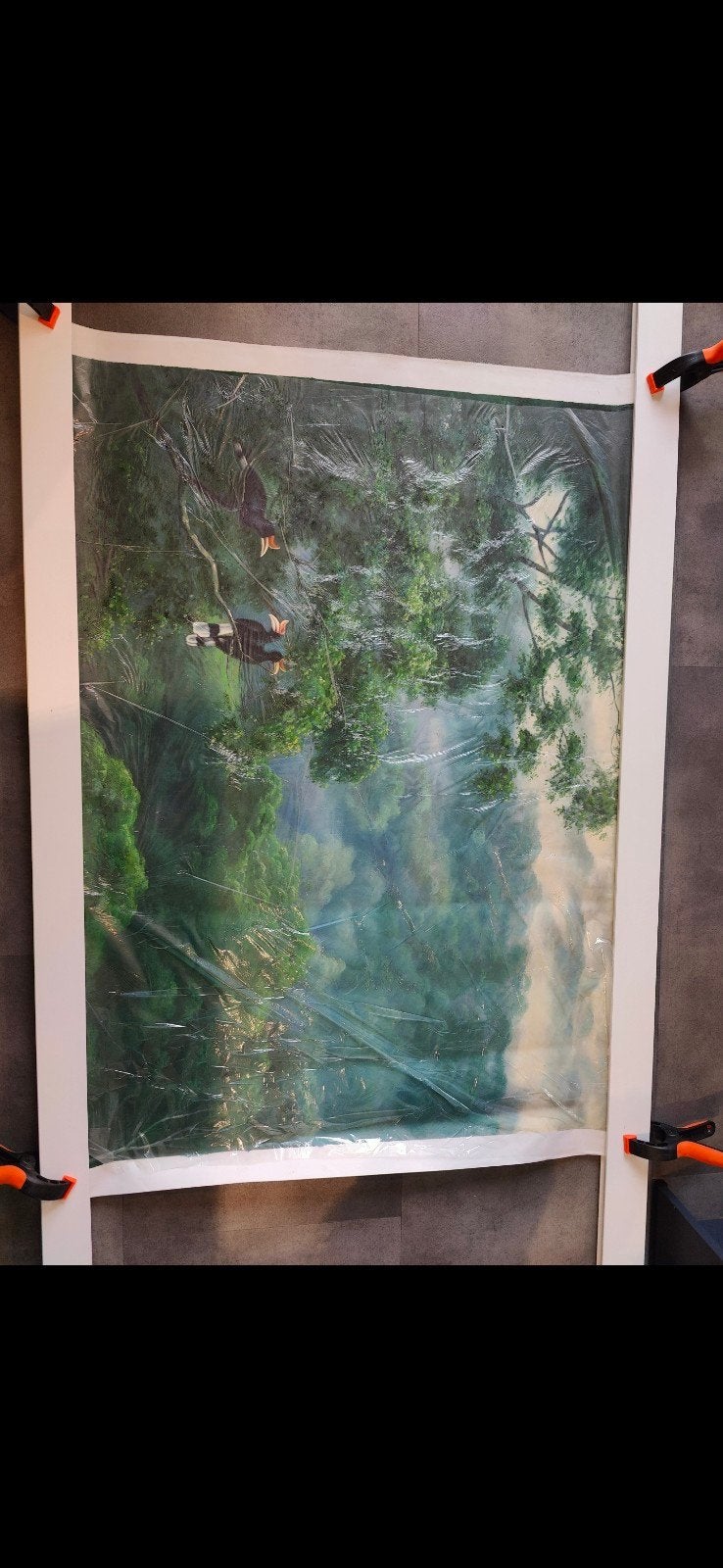 Schilderij op doek: Tropisch woud met vogels (130x100cm), Antiek en Kunst, Kunst | Schilderijen | Klassiek, Doek, Realistisch