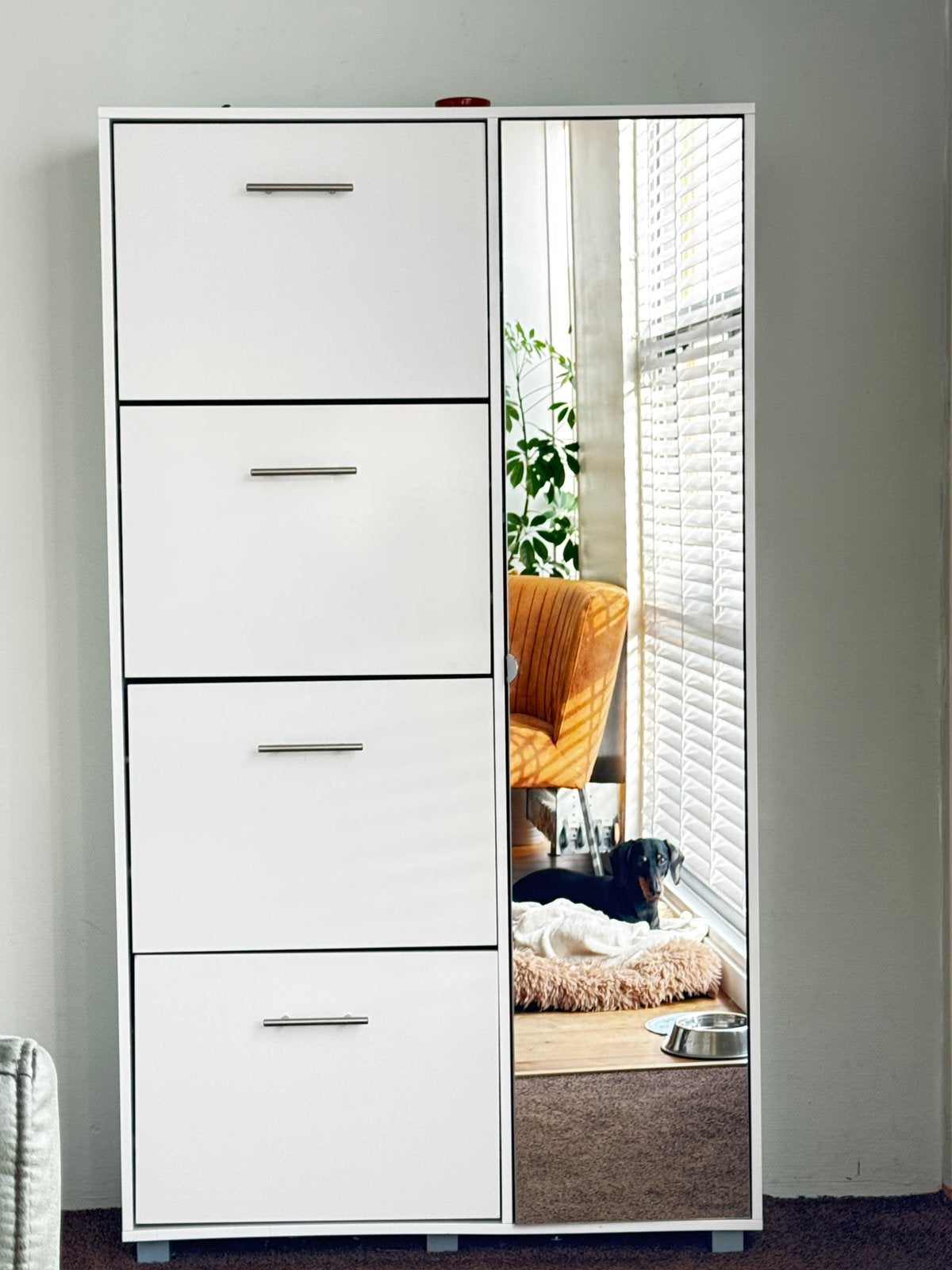 Shoe cabinet with mirror, Ophalen, Gebruikt