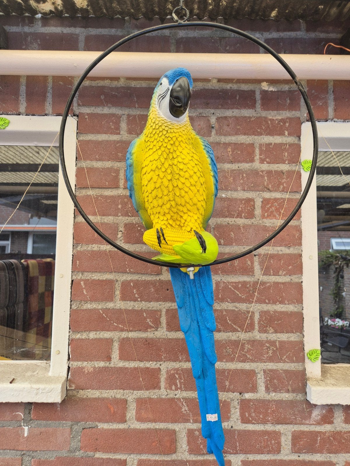 Kleurrijke Papegaai Decoratie voor Binnen/Buiten, Ophalen of Verzenden, Gebruikt, Meerkleurig, Kunststof
