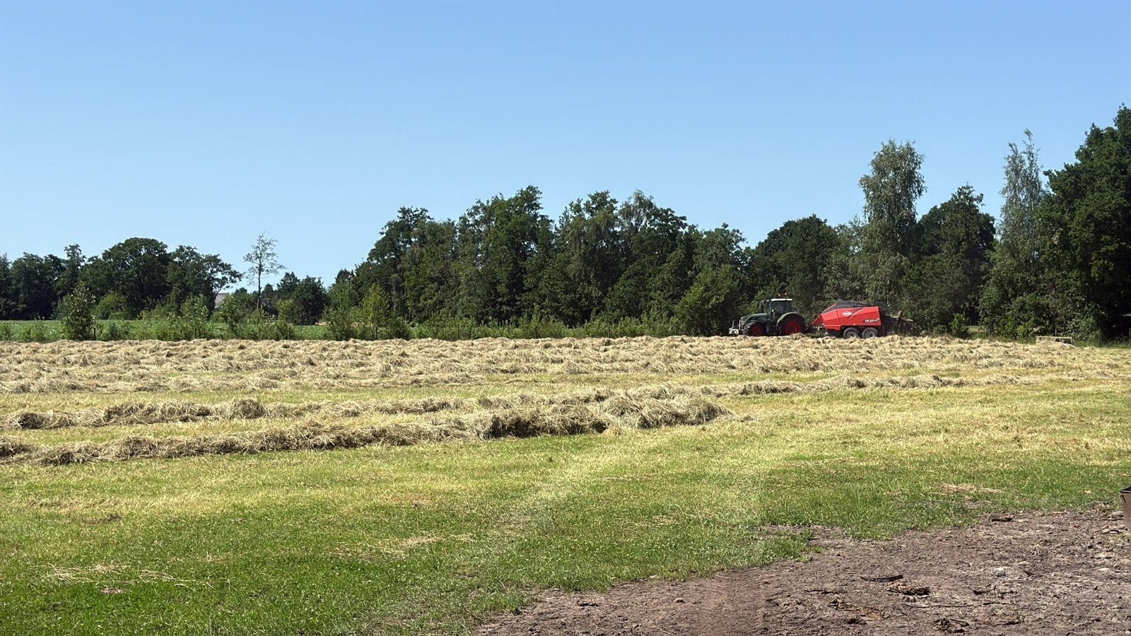Kuilbalen aangeboden, Dieren en Toebehoren, Dierenvoeding, Ophalen of Verzenden, Vee