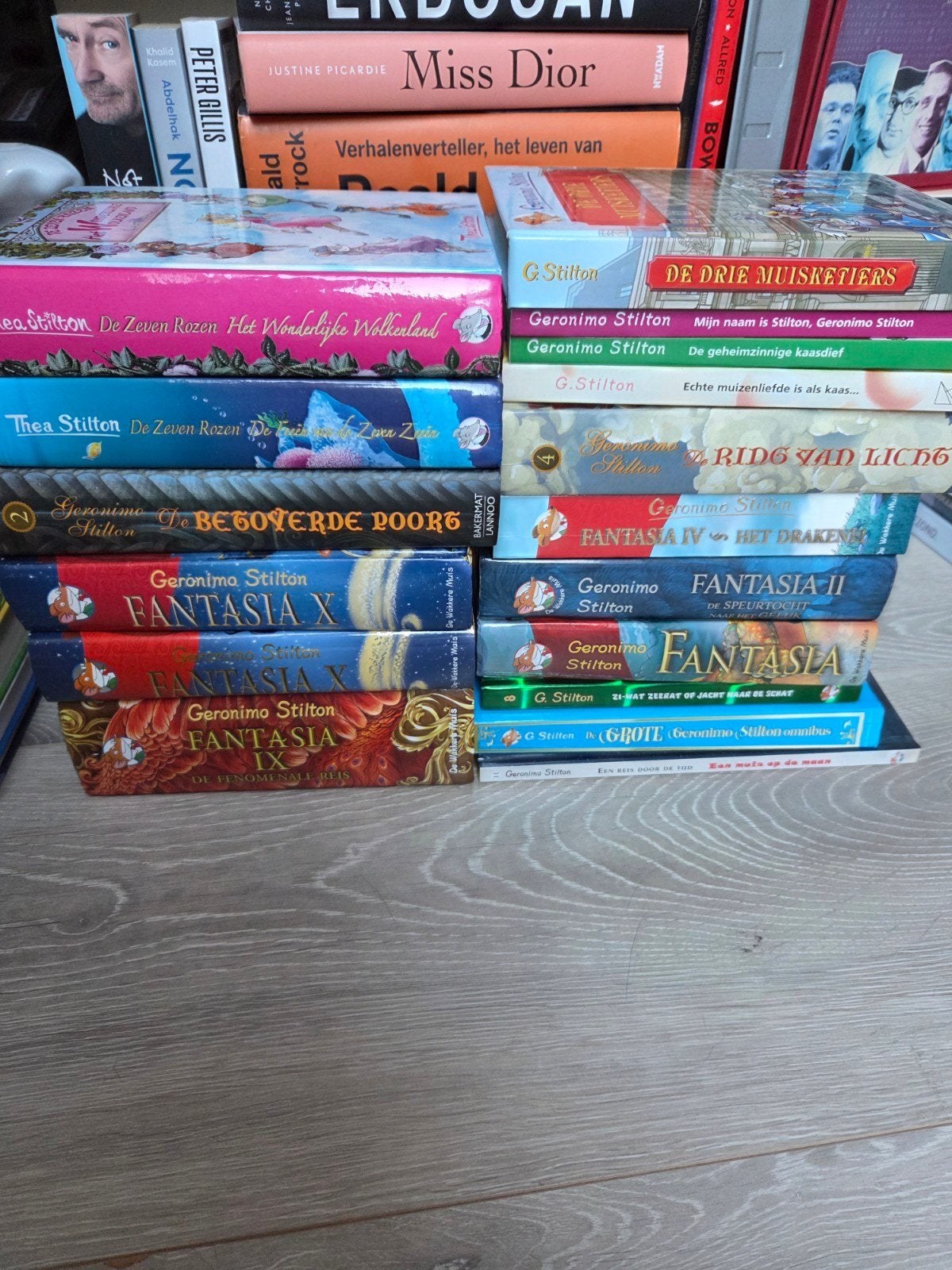 Geronimo Stilton + Thea Stilton boeken, Boeken, Ophalen of Verzenden, Zo goed als nieuw