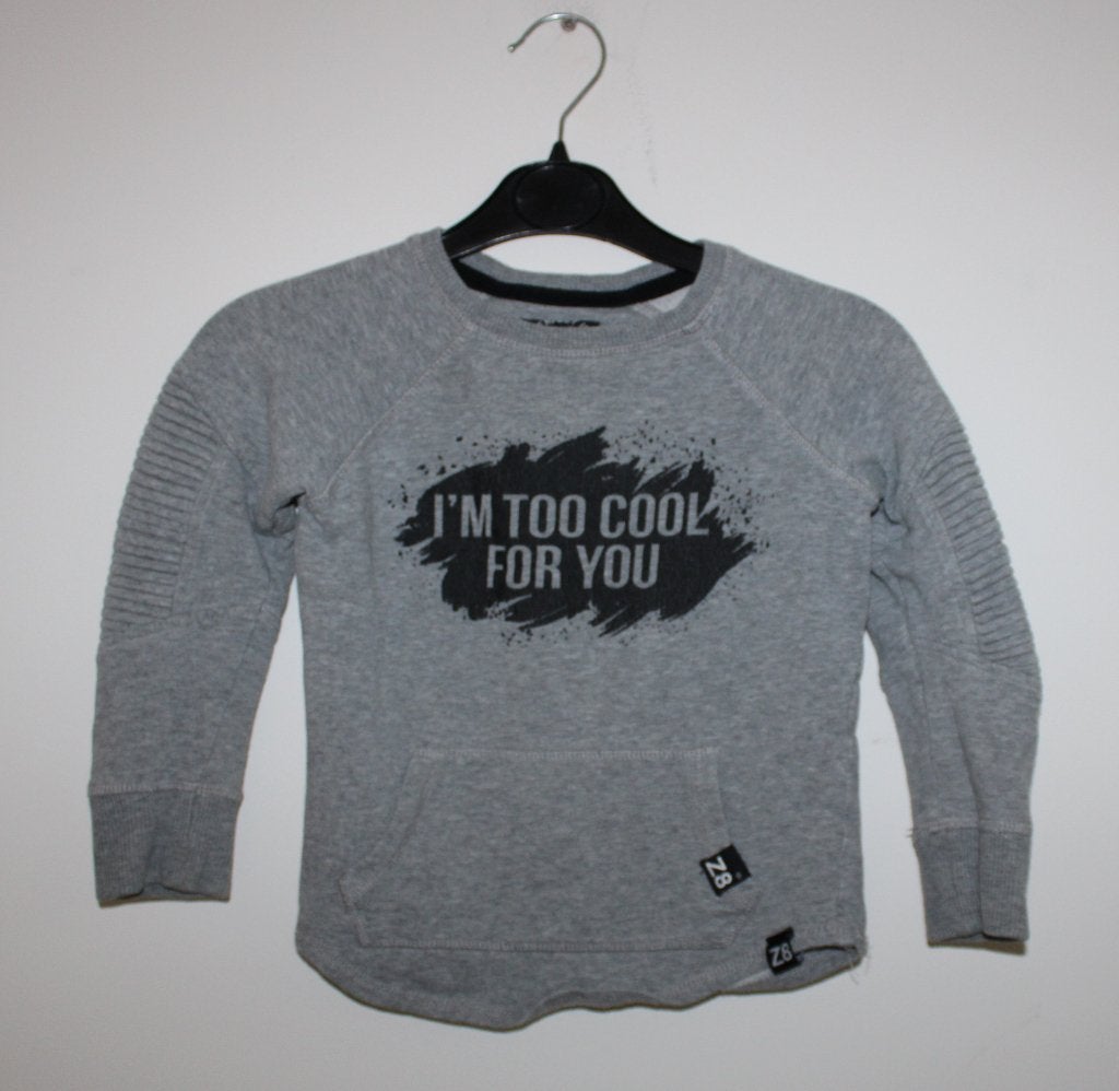 Sweater van Z8 104/110, Gebruikt, Ophalen of Verzenden, Jongen, Z8