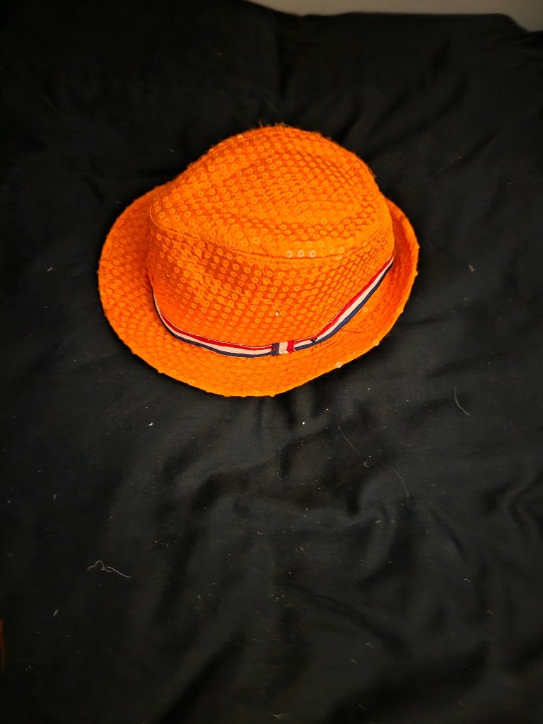 Oranje hoedje, Ophalen of Verzenden, Gebruikt, Oranje of Koningsdag
