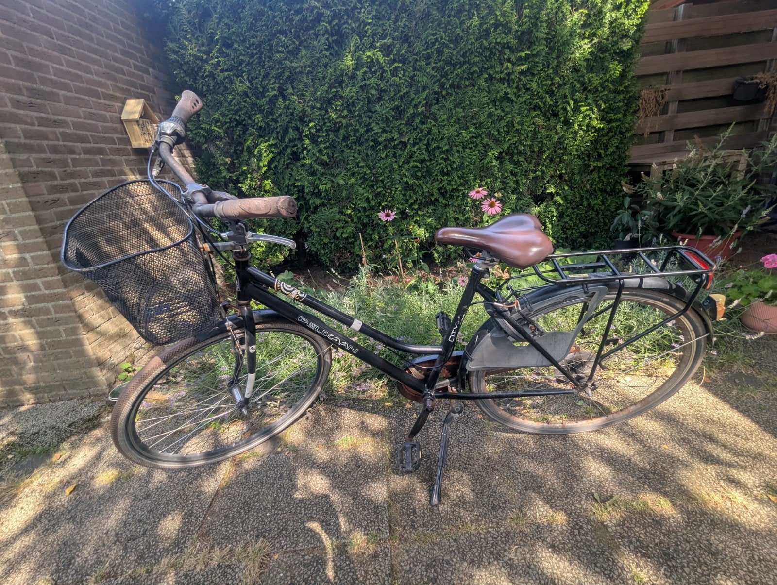 Pelikaan City Tour damesfiets met mand, Velgrem, Ophalen, Overige merken, 53 tot 56 cm