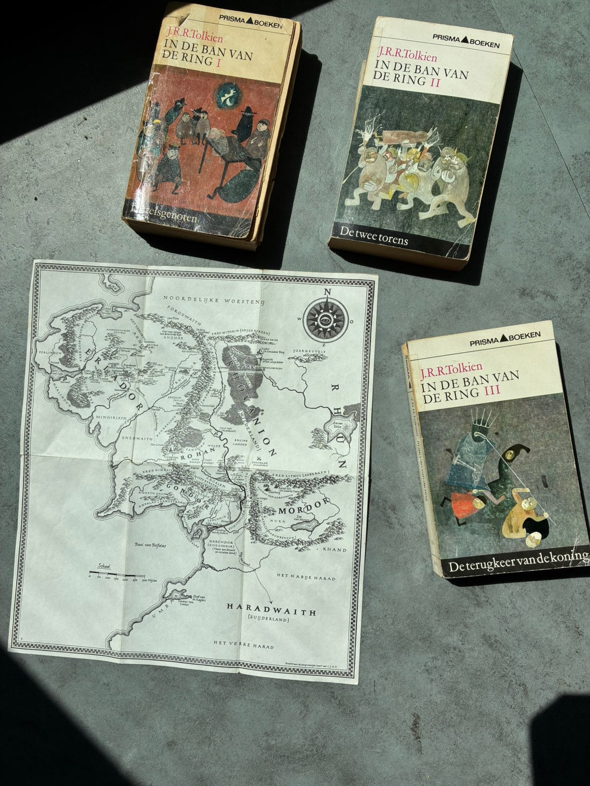 In de Ban van de Ring trilogie., Boeken, Ophalen of Verzenden, Gelezen