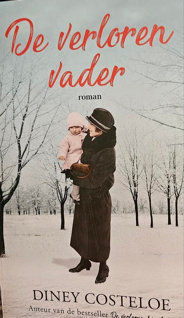 Diney Costeloe De verloren vader, Boeken, Ophalen of Verzenden, Zo goed als nieuw