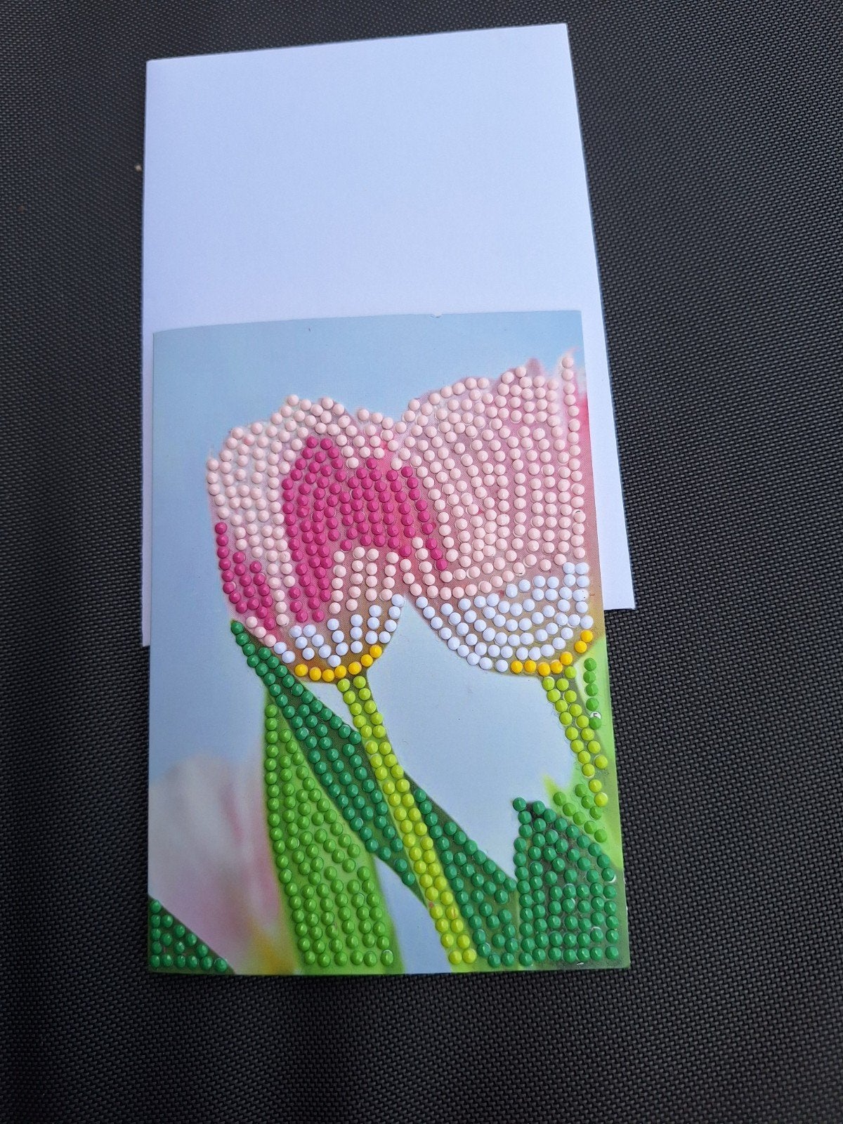 Diamond Painting Kaarten - Diverse Ontwerpen, Ophalen of Verzenden, Nieuw, Dieren, Overige typen