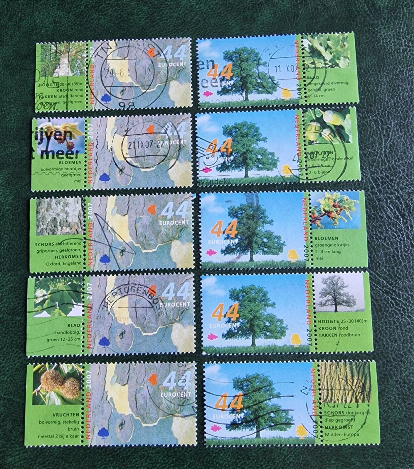 kv1323vNederland 2007 - Bomen en struiken - 44 Eurocent post, Postzegels en Munten, Ophalen of Verzenden, Na 1940, Gestempeld
