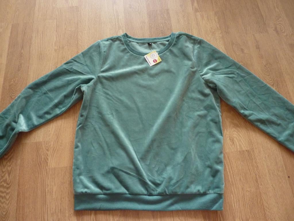 Velours sweater, Kleding | Dames, Truien en Vesten, Ophalen of Verzenden, Nieuw, Maat 38/40 (M)