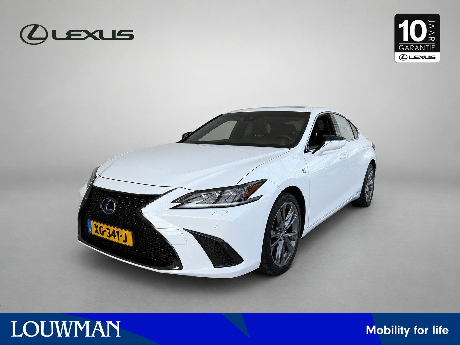 Lexus ES 300h F Sport Line | Mark-Levinson | Carplay | Stoel