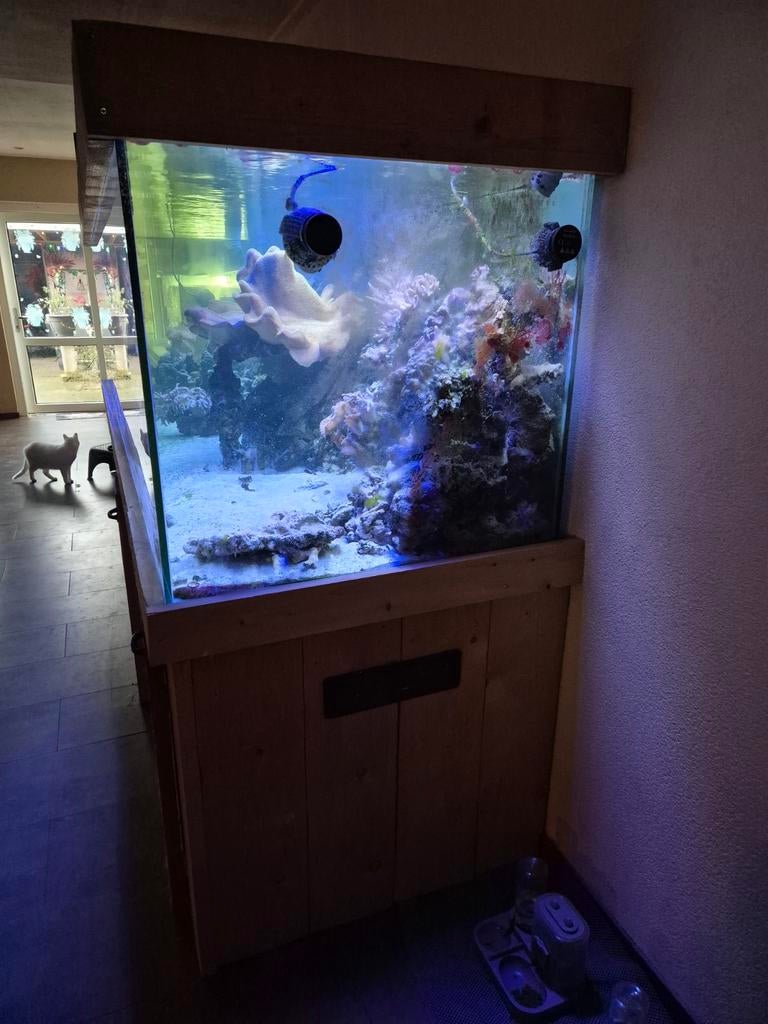 Zeeaquarium 3 meter te koop, Dieren en Toebehoren, Ophalen, Gebruikt, Leeg aquarium