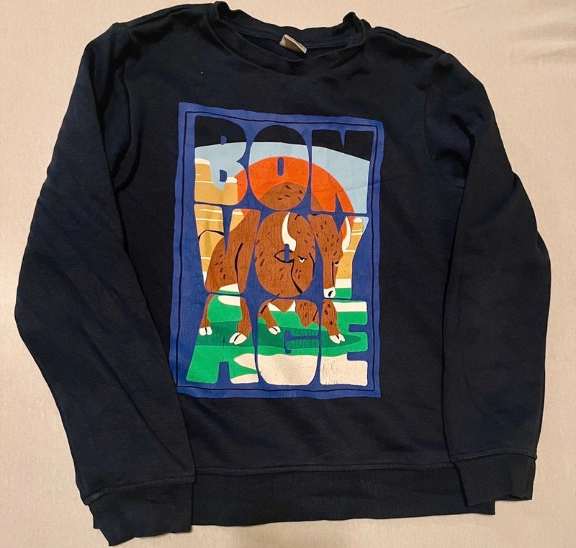 Hema trui maat 134/140 blauw, Ophalen of Verzenden, Zo goed als nieuw, Jongen, Trui of Vest