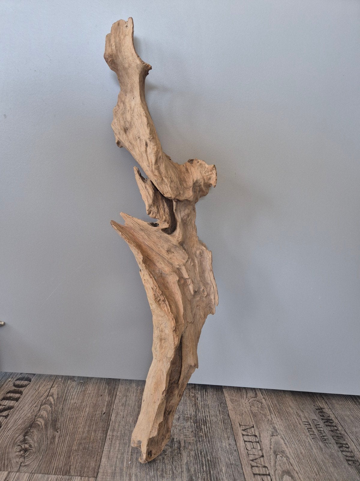 Groot stuk terrarium hout, drijfhout, terrariumhout., Amfibie, 0 tot 2 jaar