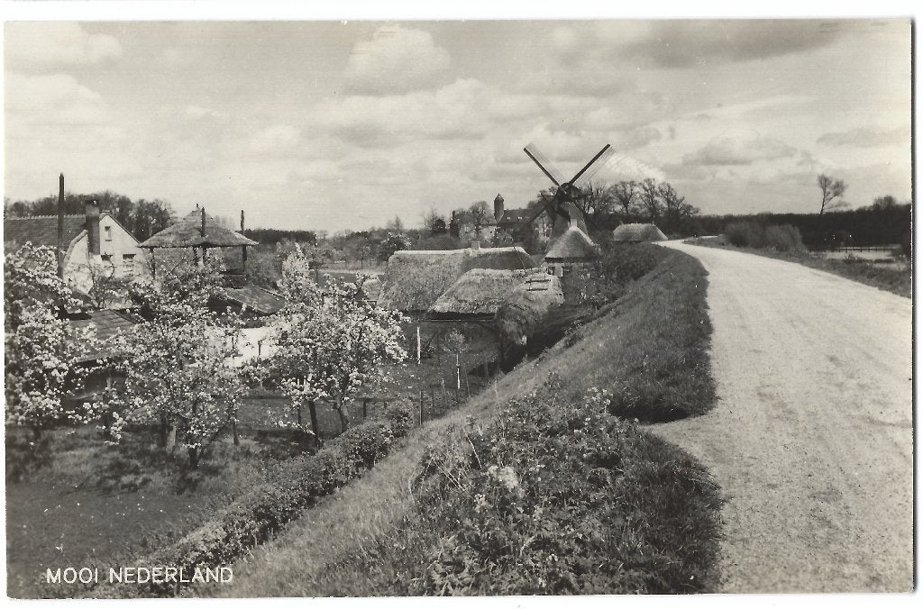 Waardenburg, (boven Zaltbommel) Mooi Nederland - Molen, Verzenden, 1940 tot 1960, Ongelopen, Gelderland